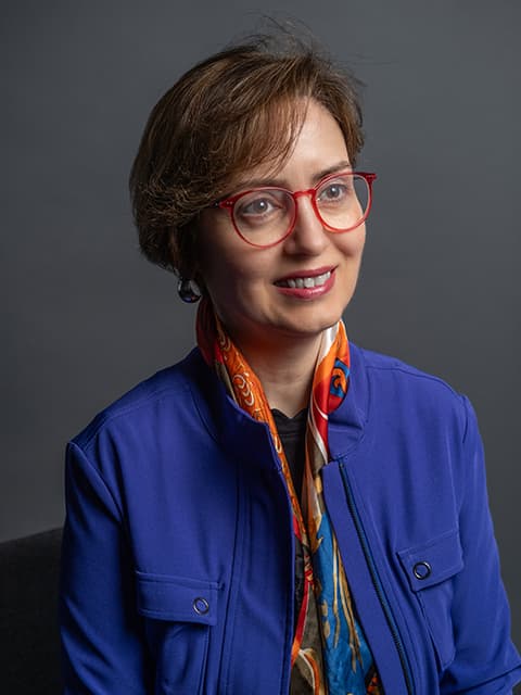 Professor Zeynep Aycan